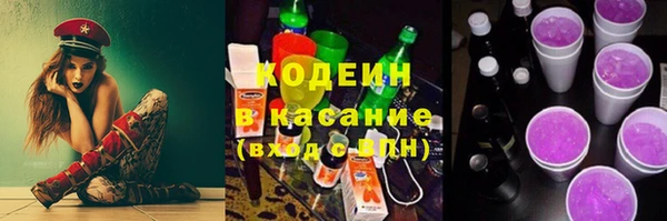 PSILOCYBIN Кодинск
