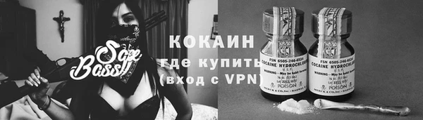 СК Козловка