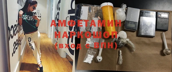 PSILOCYBIN Кодинск