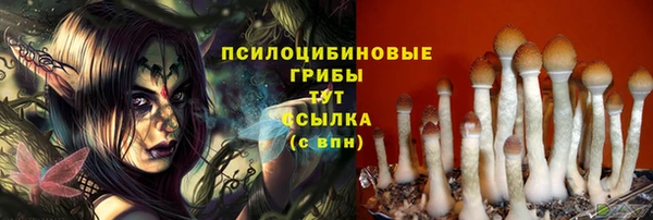 СК Козловка
